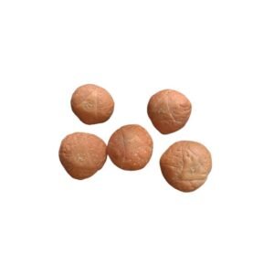 2 Mukhi Bodhicitta (12-18) mm