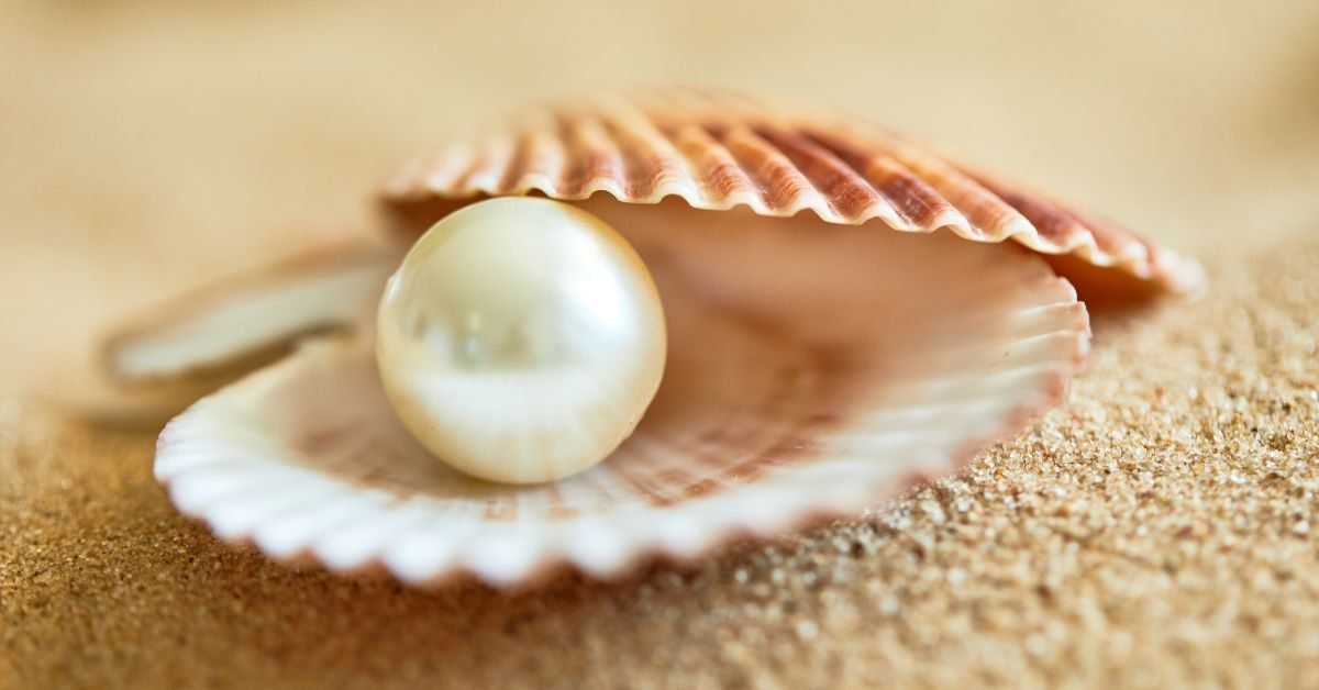 Pearl/Moti - Image 6