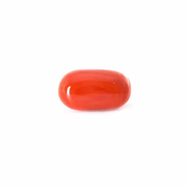 Red Coral (3crt+) - Image 8