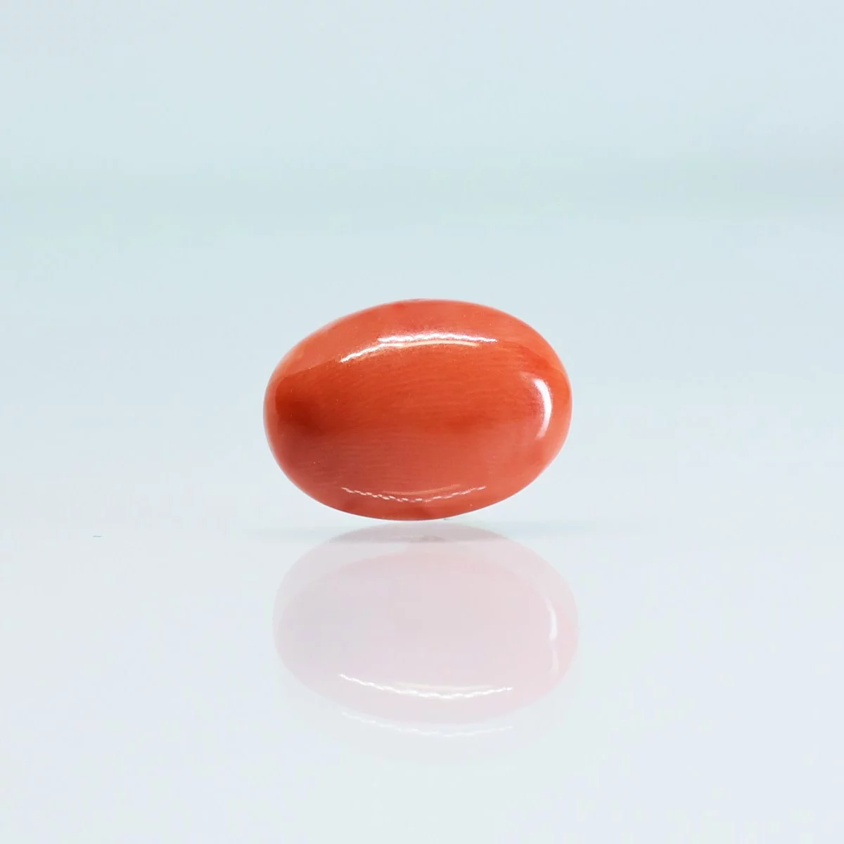 Red Coral (3crt+) - Image 3